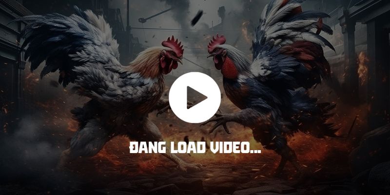 Cá cược đá gà trực tiếp là tựa game hấp dẫn
