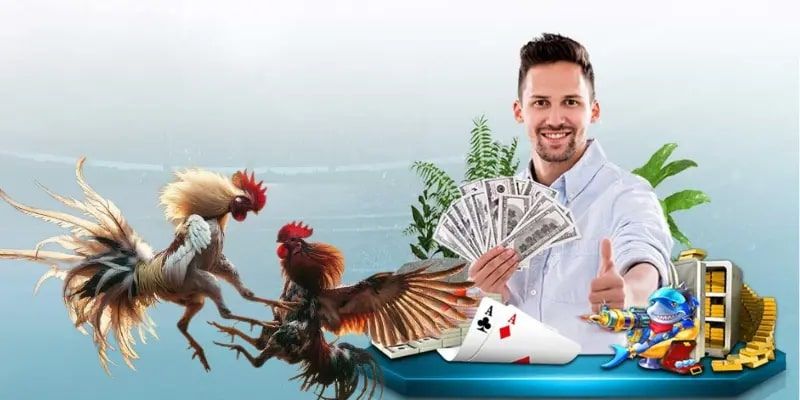 Trở thành đại lý Congaden kiếm thu nhập khủng