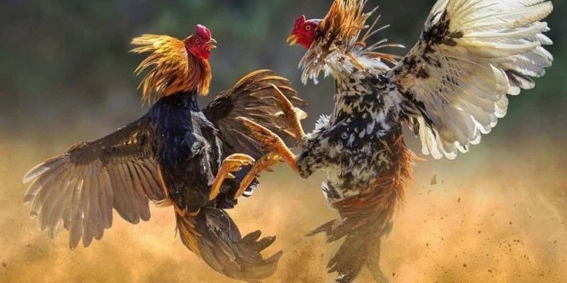 Hàng ngàn ưu đãi đang đợi bạn khám phá