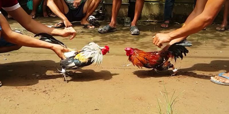 Lưu ý khi thực hiện rút tiền tại nhà cái Congaden